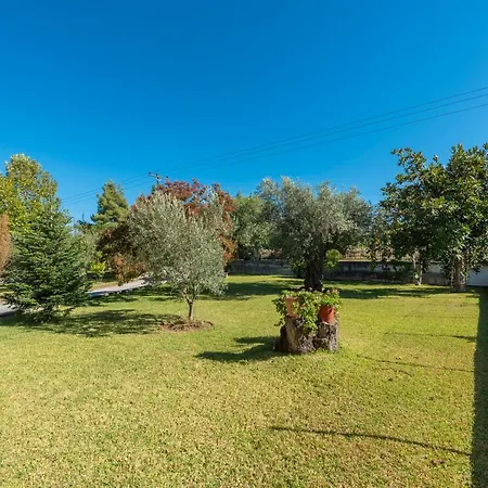 Blooming Memories B 公寓 沃尔沃罗