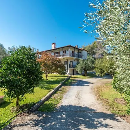 Blooming Memories B Vourvourou