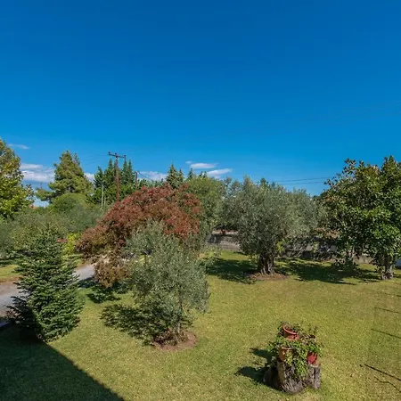 Lejlighed Blooming Memories B *