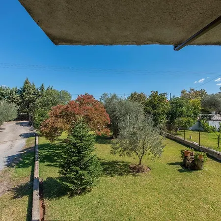 Blooming Memories B *