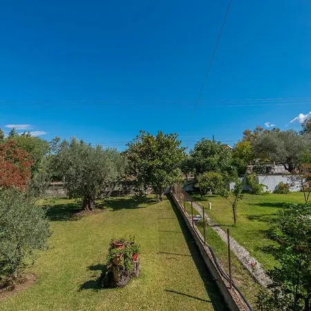 Blooming Memories B *