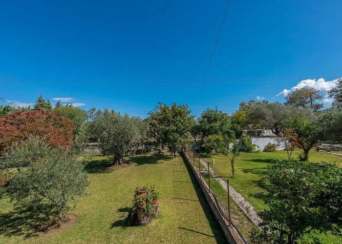 Blooming Memories B *