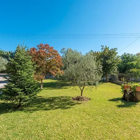 Blooming Memories B Apartment Vourvourou